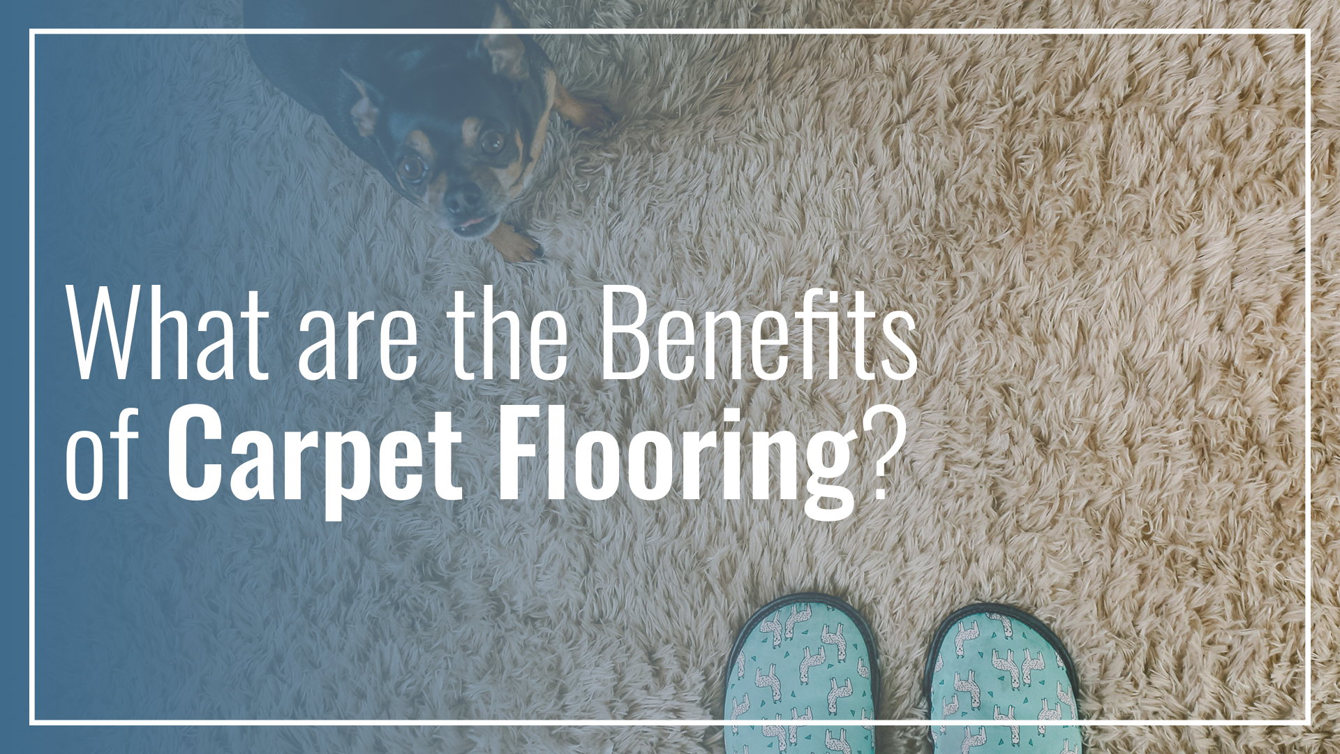 What are the Benefits of Carpet Flooring?